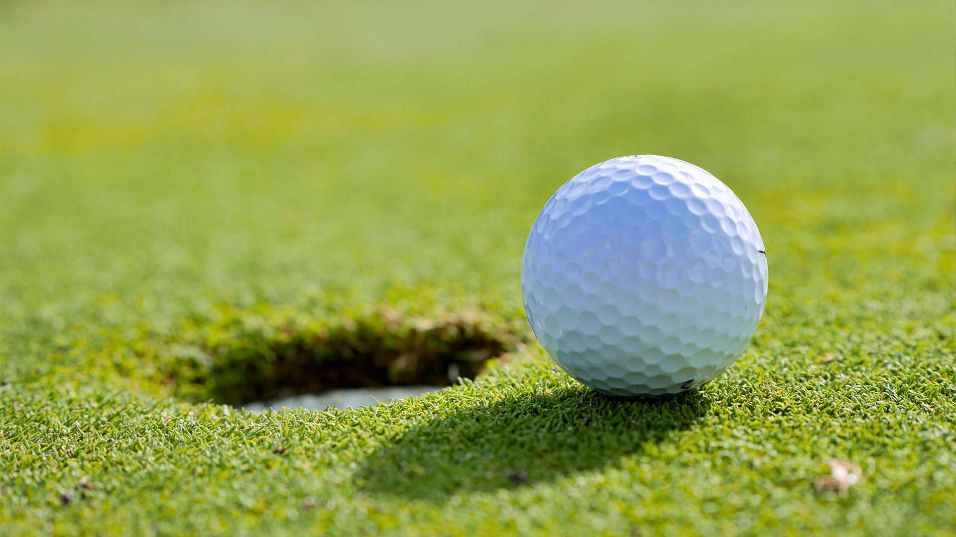High tech golf driving range in West Jakarta for all levels, equipped with high tech technology, with group seated bay, perfect for enjoying the moment together with friends or family.
